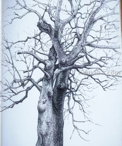 幸福原创画吧2026年第十一期画友作品分享 - 图画吧TUHUABA