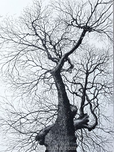 幸福原创画吧2026年第十一期画友作品分享 - 图画吧TUHUABA