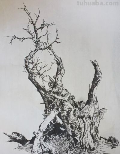 幸福原创画吧2026年第十一期画友作品分享 - 图画吧TUHUABA