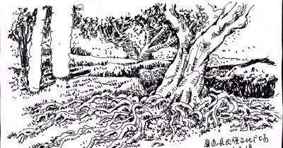 幸福原创画吧2026年第十一期画友作品分享 - 图画吧TUHUABA