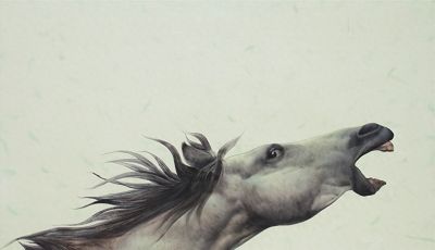 长海·“马”语 | 以水彩为媒，解草原灵驹之语 - 今日头条