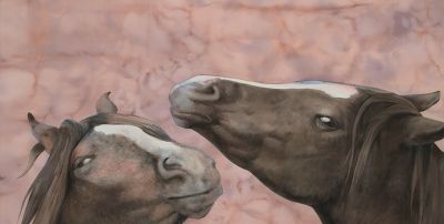 长海·“马”语 | 以水彩为媒，解草原灵驹之语 - 图画吧TUHUABA