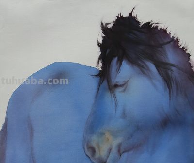 长海·“马”语 | 以水彩为媒，解草原灵驹之语 - 图画吧TUHUABA