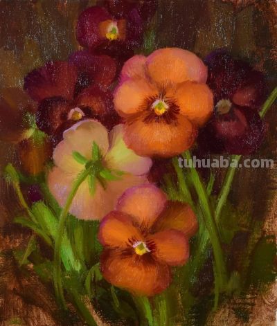 当代美国画家——泰勒·科雷亚静物花卉油画 - 图画吧TUHUABA