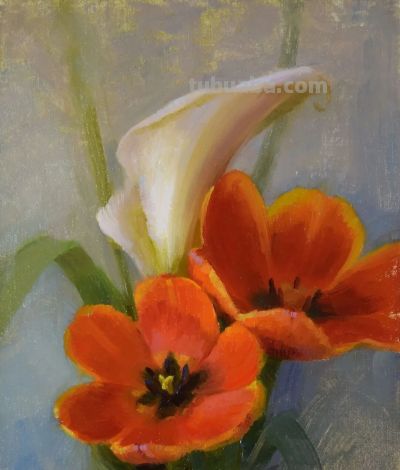 当代美国画家——泰勒·科雷亚静物花卉油画 - 图画吧TUHUABA