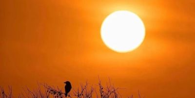 手机也能拍大片！8个日出摄影技巧，零基础也能快速上手 - 图画吧TUHUABA