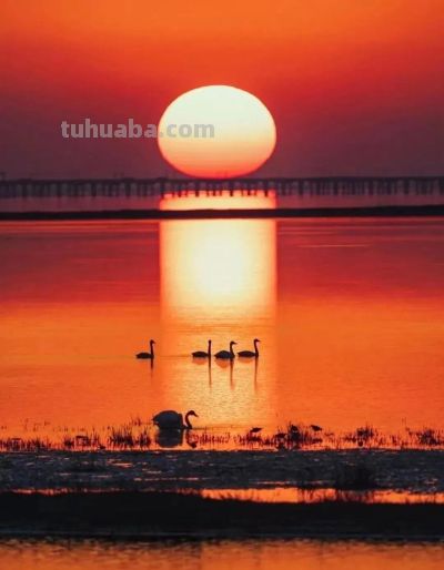 手机也能拍大片！8个日出摄影技巧，零基础也能快速上手 - 图画吧TUHUABA