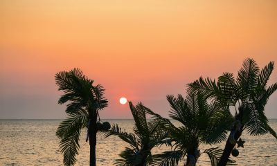 摄影不求器材、不求技巧，先悟这5个核心理念 - 今日头条