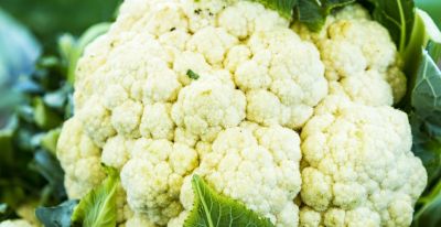 1-10月种什么菜？全说清楚了，建议收藏 - 图画吧TUHUABA