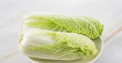 1-10月种什么菜？全说清楚了，建议收藏 - 图画吧TUHUABA