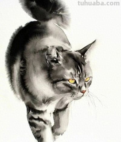 这位老外画猫，厉害！ - 今日头条