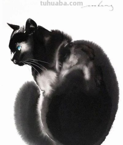 这位老外画猫，厉害！ - 图画吧TUHUABA