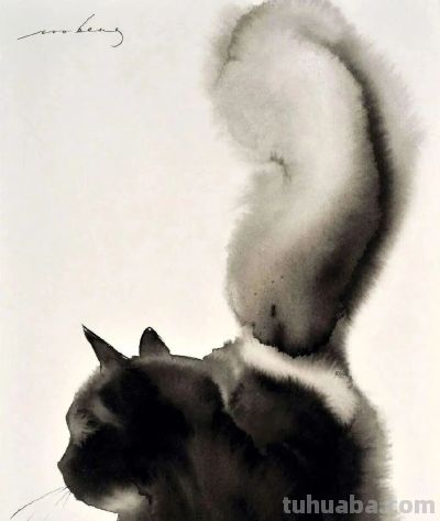 这位老外画猫，厉害！ - 图画吧TUHUABA