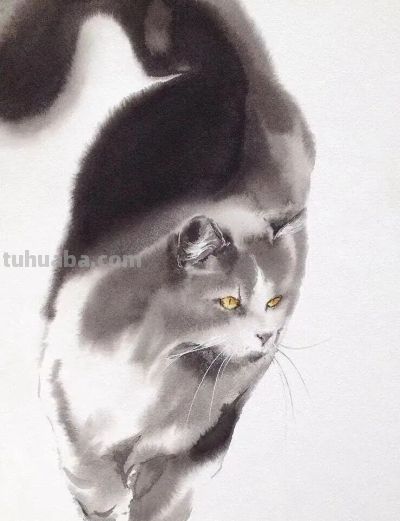 这位老外画猫，厉害！ - 图画吧TUHUABA