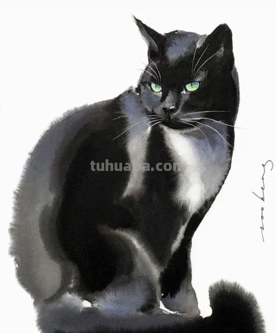 这位老外画猫，厉害！ - 图画吧TUHUABA