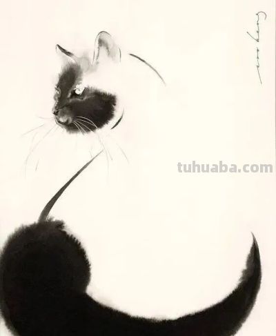 这位老外画猫，厉害！ - 图画吧TUHUABA