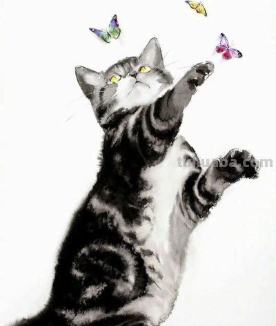 这位老外画猫，厉害！ - 图画吧TUHUABA