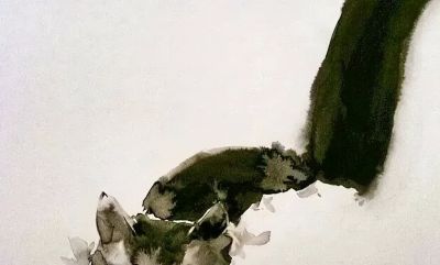 这位老外画猫，厉害！ - 图画吧TUHUABA