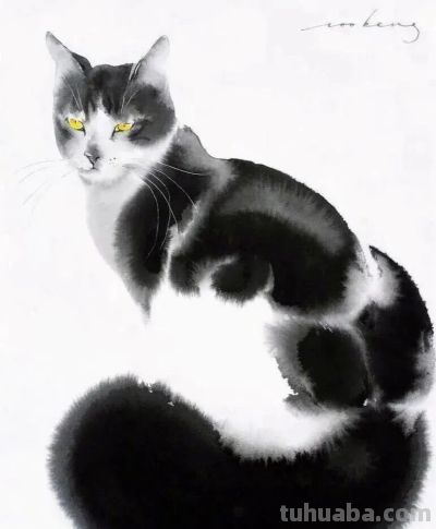 这位老外画猫，厉害！ - 图画吧TUHUABA