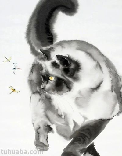 这位老外画猫，厉害！ - 图画吧TUHUABA