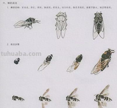 中国国画花鸟技法——几种虫儿的画法 - 今日头条