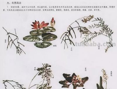 中国国画花鸟技法——几种虫儿的画法 - 图画吧TUHUABA