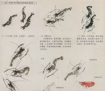 中国国画花鸟技法——几种虫儿的画法 - 图画吧TUHUABA