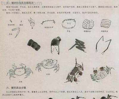 中国国画花鸟技法——几种虫儿的画法 - 图画吧TUHUABA