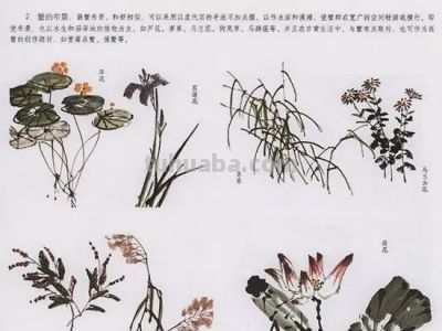 中国国画花鸟技法——几种虫儿的画法 - 图画吧TUHUABA