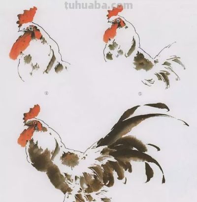 中国国画花鸟技法——几种虫儿的画法 - 图画吧TUHUABA