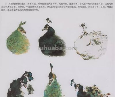 中国国画花鸟技法——几种虫儿的画法 - 图画吧TUHUABA