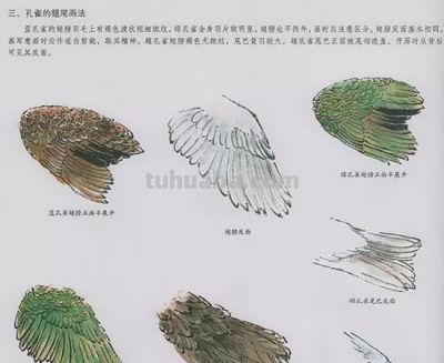 中国国画花鸟技法——几种虫儿的画法 - 图画吧TUHUABA
