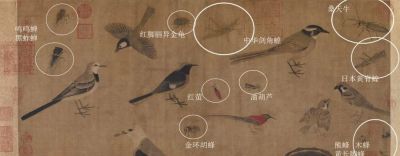 草虫画源流探赜——兼谈几点质疑 - 图画吧TUHUABA