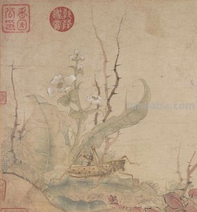 草虫画源流探赜——兼谈几点质疑 - 图画吧TUHUABA