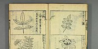 李时珍的《本草纲目》，影响了日本博物学的发展 - 图画吧TUHUABA