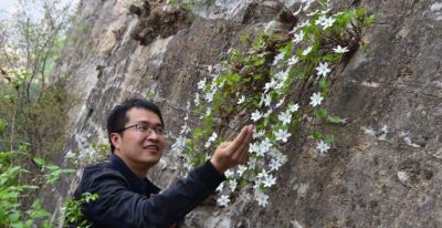 李时珍的《本草纲目》，影响了日本博物学的发展 - 图画吧TUHUABA