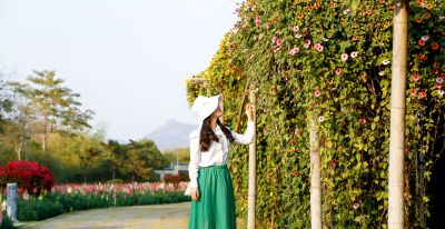 春日穿搭最美的5种色彩 - 今日头条 春日穿搭最美的5种色彩 - 图画吧TUHUABA