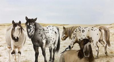 必看直播！中西方经典水彩 · 线上线下同步启幕 - 图画吧TUHUABA