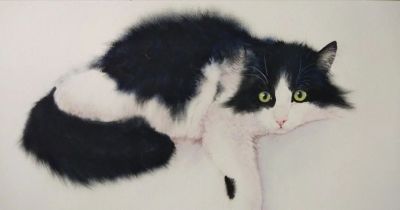 【绘画参考】水彩画家 Chatchawarn Ruksa 笔下慵懒又可爱的猫咪 - 今日头条 【绘画参考】水彩画家 Chatchawarn Ruksa 笔下慵懒又可爱的猫咪 - 图画吧TUHUABA