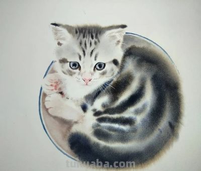 【绘画参考】水彩画家 Chatchawarn Ruksa 笔下慵懒又可爱的猫咪 - 今日头条 【绘画参考】水彩画家 Chatchawarn Ruksa 笔下慵懒又可爱的猫咪 - 图画吧TUHUABA