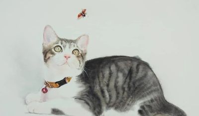 【绘画参考】水彩画家 Chatchawarn Ruksa 笔下慵懒又可爱的猫咪 - 今日头条 【绘画参考】水彩画家 Chatchawarn Ruksa 笔下慵懒又可爱的猫咪 - 图画吧TUHUABA