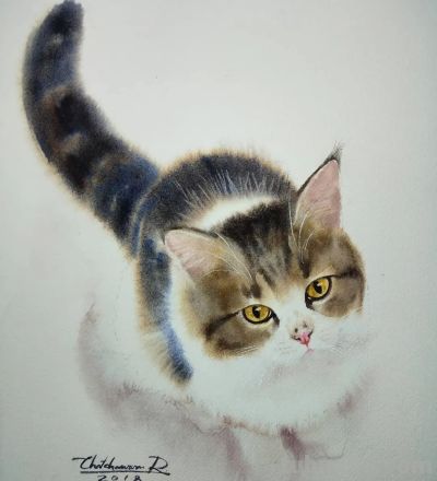 【绘画参考】水彩画家 Chatchawarn Ruksa 笔下慵懒又可爱的猫咪 - 今日头条 【绘画参考】水彩画家 Chatchawarn Ruksa 笔下慵懒又可爱的猫咪 - 图画吧TUHUABA