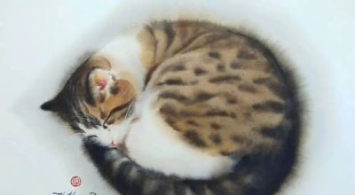 【绘画参考】水彩画家 Chatchawarn Ruksa 笔下慵懒又可爱的猫咪 - 今日头条 【绘画参考】水彩画家 Chatchawarn Ruksa 笔下慵懒又可爱的猫咪 - 图画吧TUHUABA
