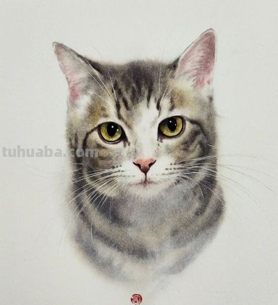 【绘画参考】水彩画家 Chatchawarn Ruksa 笔下慵懒又可爱的猫咪 - 今日头条 【绘画参考】水彩画家 Chatchawarn Ruksa 笔下慵懒又可爱的猫咪 - 图画吧TUHUABA