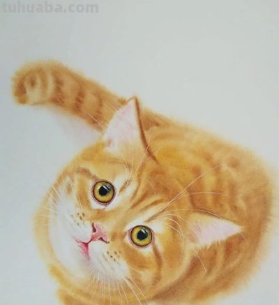 【绘画参考】水彩画家 Chatchawarn Ruksa 笔下慵懒又可爱的猫咪 - 今日头条 【绘画参考】水彩画家 Chatchawarn Ruksa 笔下慵懒又可爱的猫咪 - 图画吧TUHUABA