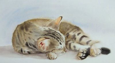 【绘画参考】水彩画家 Chatchawarn Ruksa 笔下慵懒又可爱的猫咪 - 今日头条 【绘画参考】水彩画家 Chatchawarn Ruksa 笔下慵懒又可爱的猫咪 - 图画吧TUHUABA