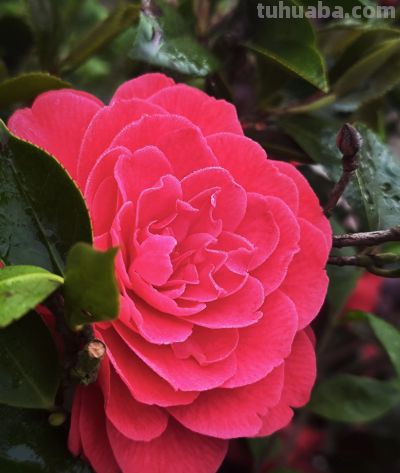 每天学摄影小技巧，我们一起变美·第三天 - 今日头条