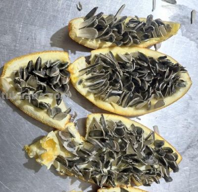 闲出来的本事：把食物折腾成它没想过的样子 - 图画吧TUHUABA