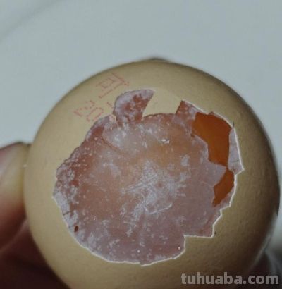 闲出来的本事：把食物折腾成它没想过的样子 - 图画吧TUHUABA