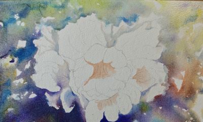 追光逐影，水彩杜鹃花 - 图画吧TUHUABA